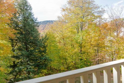 Apartamentos Stratton Mountain Resort/vantage Point Condominium