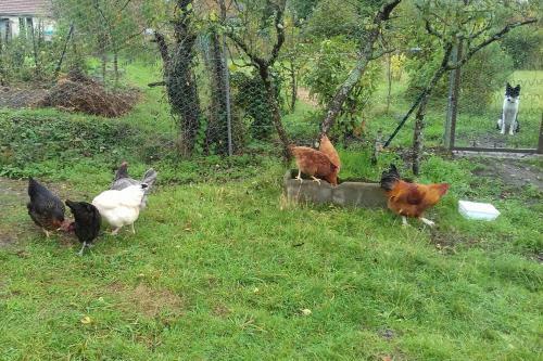 Bed & Breakfast Domaine De La Rue