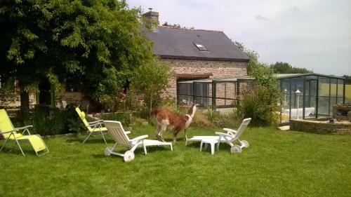 Hostal La P'tit' Fugue