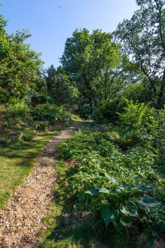Suite De La Vall�e Des Ch�nes