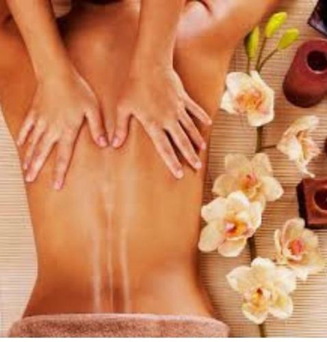Apartamento Mealsaveurs & Spa
