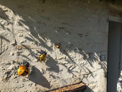 Le G�te Au Coin Des Abeilles
