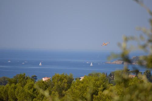 Apartamento G�te Vue Mer
