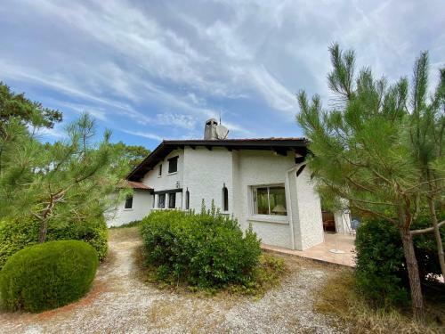 Cottage With A Big Idyllic Garden At The Lake