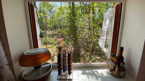 Le Petit Poulailler Au Beau Milieu Des Pins