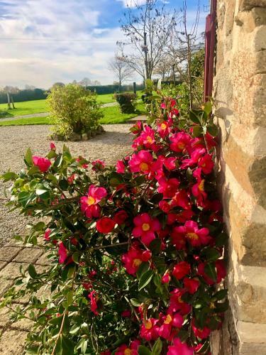 Apartamento Greener Pastures - Normandy Self Catering Gites