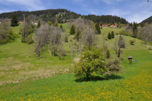 Apartamento Chalets De Marie 24b - Chamroc Immobilier
