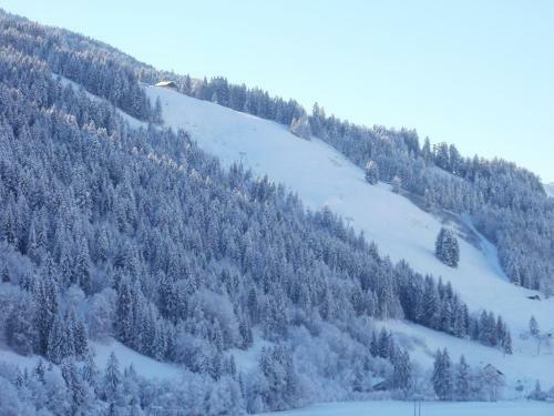 Bed & Breakfast Chambre Et Table D'h�te La Petite Bergerie