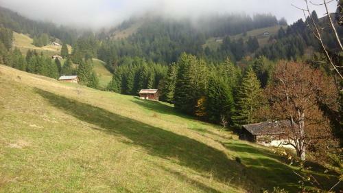 Bed & Breakfast Chambre Et Table D'h�te La Petite Bergerie