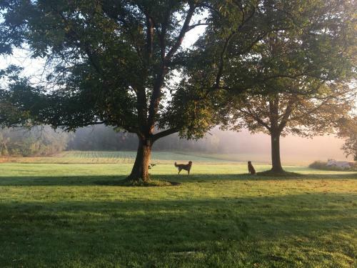 Enfield Manor Bed&breakfast And Vacation Rental