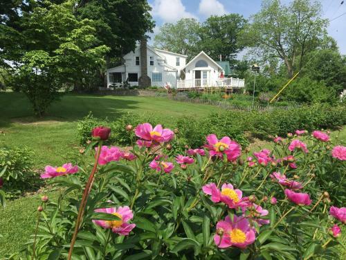 Enfield Manor Bed&breakfast And Vacation Rental