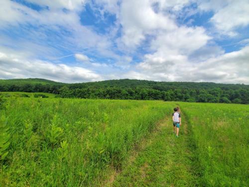 Tentrr Signature Site - Maybrook Farm - The Ridge