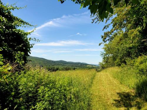 Tentrr Signature Site - Maybrook Farm - The Ridge