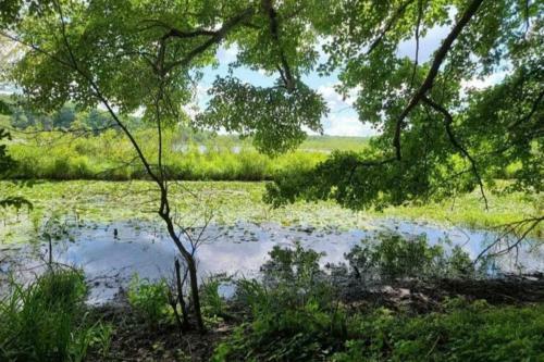 New! Quiet Cape Cod On Rural Lake Setting!