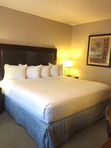 Shilo Inn Suites Hotel - Portland/beaverton