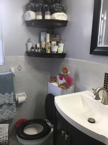 Apartamento Amazing Oasis