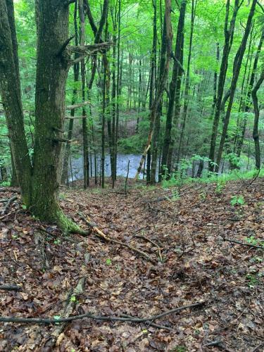 Tentrr Signature Site - Little Sprite Retreat