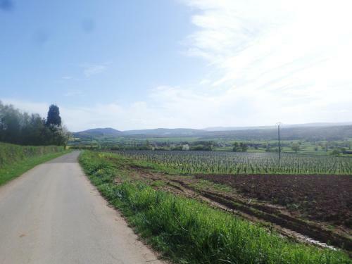 Bed & Breakfast Les Marronniers