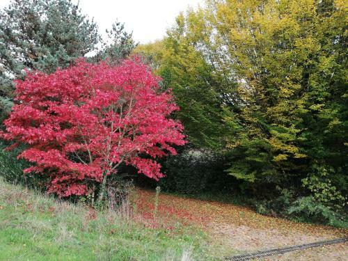 Agroturismo Le Gite Du Parc