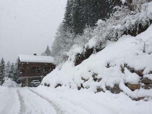 Arbroz