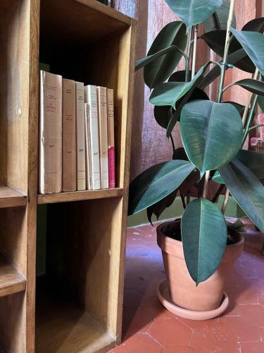 Apartamento L Appartement Du Cafe de L Horloge