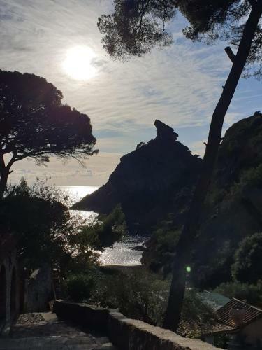 Apartamento Studio Corniche