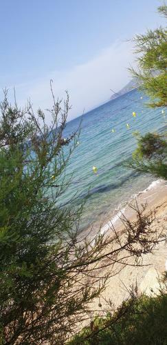 Apartamento Pampelonne Appartment
