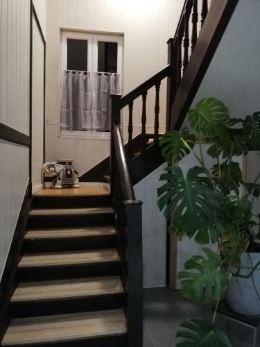 Apartamento Cosy Place