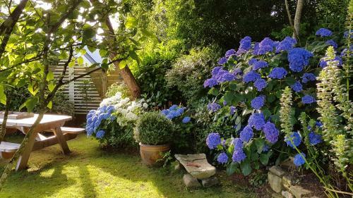 Bed & Breakfast Le Carpe Diem