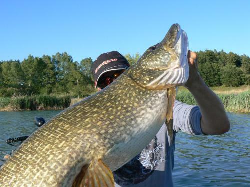 Camping La Motte Flottante