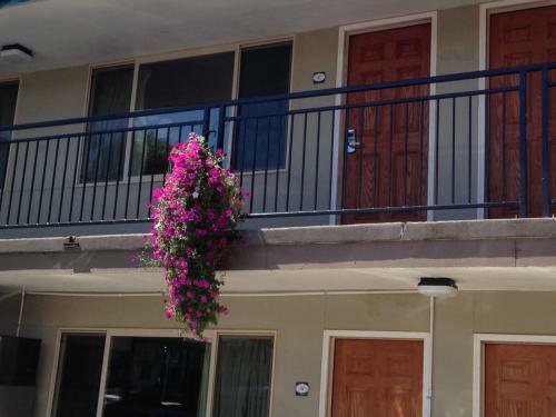 Cameo Motel - Portland