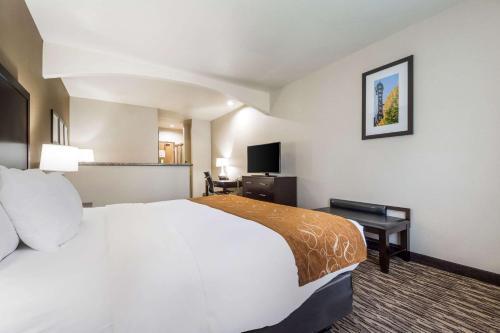 Hotel Comfort Suites Portland Airport