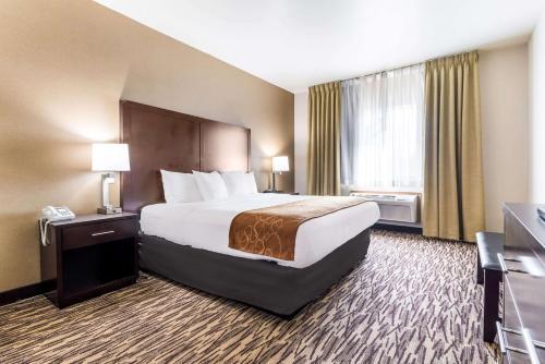 Hotel Comfort Suites Portland Airport