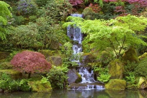 Hotel Silver Cloud Inn - Portland
