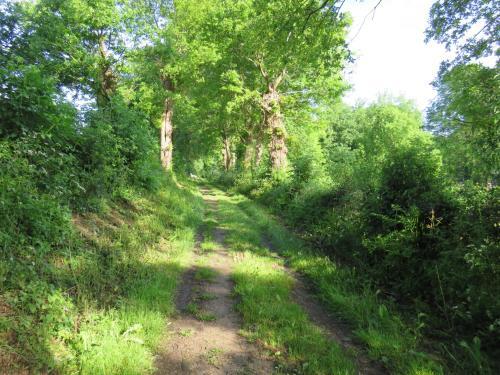 Domaine Des F�es