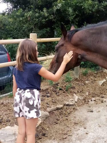 Domaine Des F�es