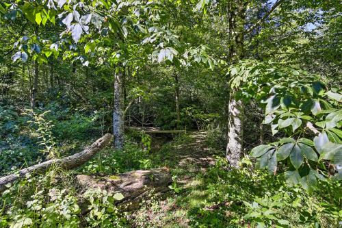 Hound Trails Cabin Hiking, Wineries And Waterfalls!