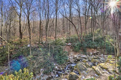 Rocky Creek Cabin With Hot Tub, Creek Views!