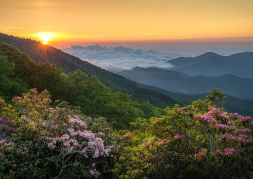 Asheville Black Mountain Escape