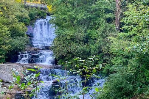 Connestee Falls