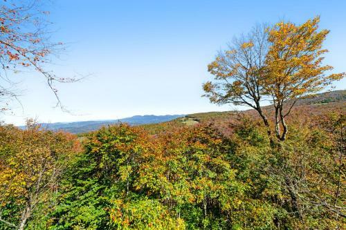Mountain Aire Lodge