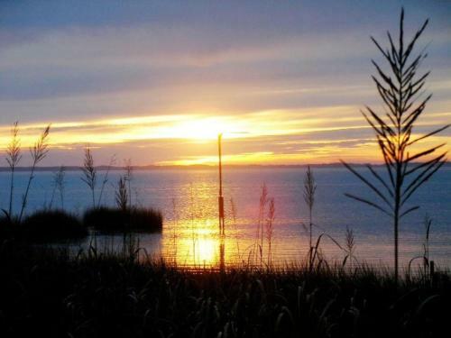 Sunset Royale