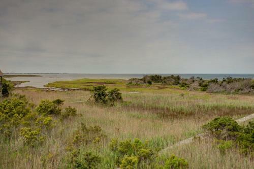 Pamlico Pathway 962