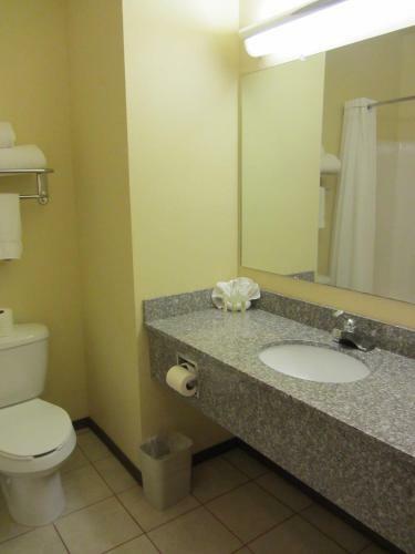 Reddy Hotel