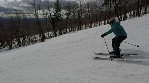 Aparthotel Mountain Lodge At Okemo