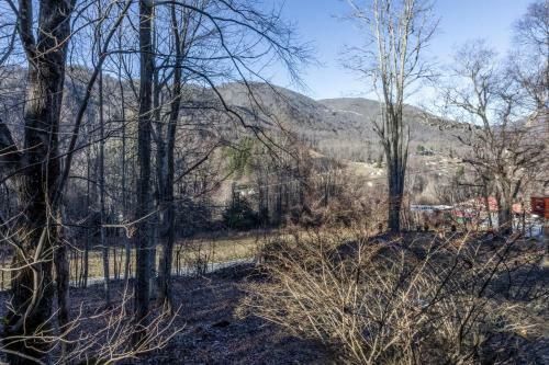 Maggie Lane Cabin