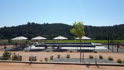 Sous Les Pins