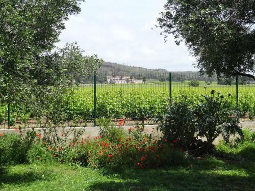 Apartamento Manima