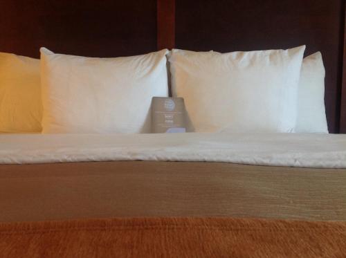 Hotel Comfort Inn & Suites West