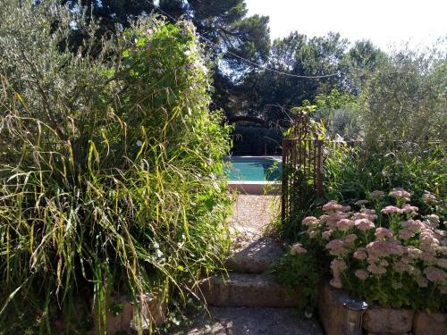 Bed & Breakfast Mas De Camejean